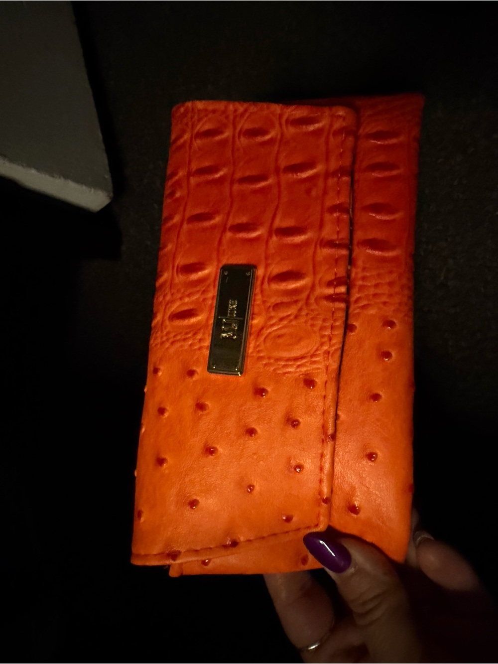 Makeup Junkie Orange Sunny case